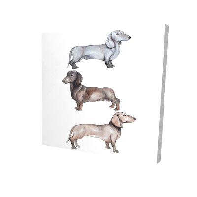 " Dachshund Dogs Trio "