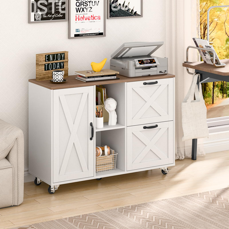 Lateral File Cabinet With 2 Drawers And Door
