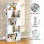164.5cm H x 60cm W Standard Bookcase