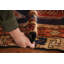 Tapis de salon bleu marine 5 x 10