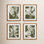 Translucent Stem 4-Piece Print Set