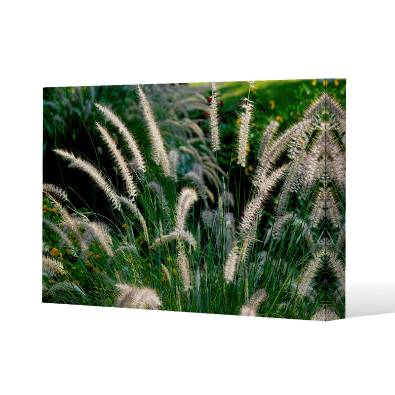 No Title by Andrew Lee - Wrapped Canvas Print, 77cm H x 114cm W x 4cm D