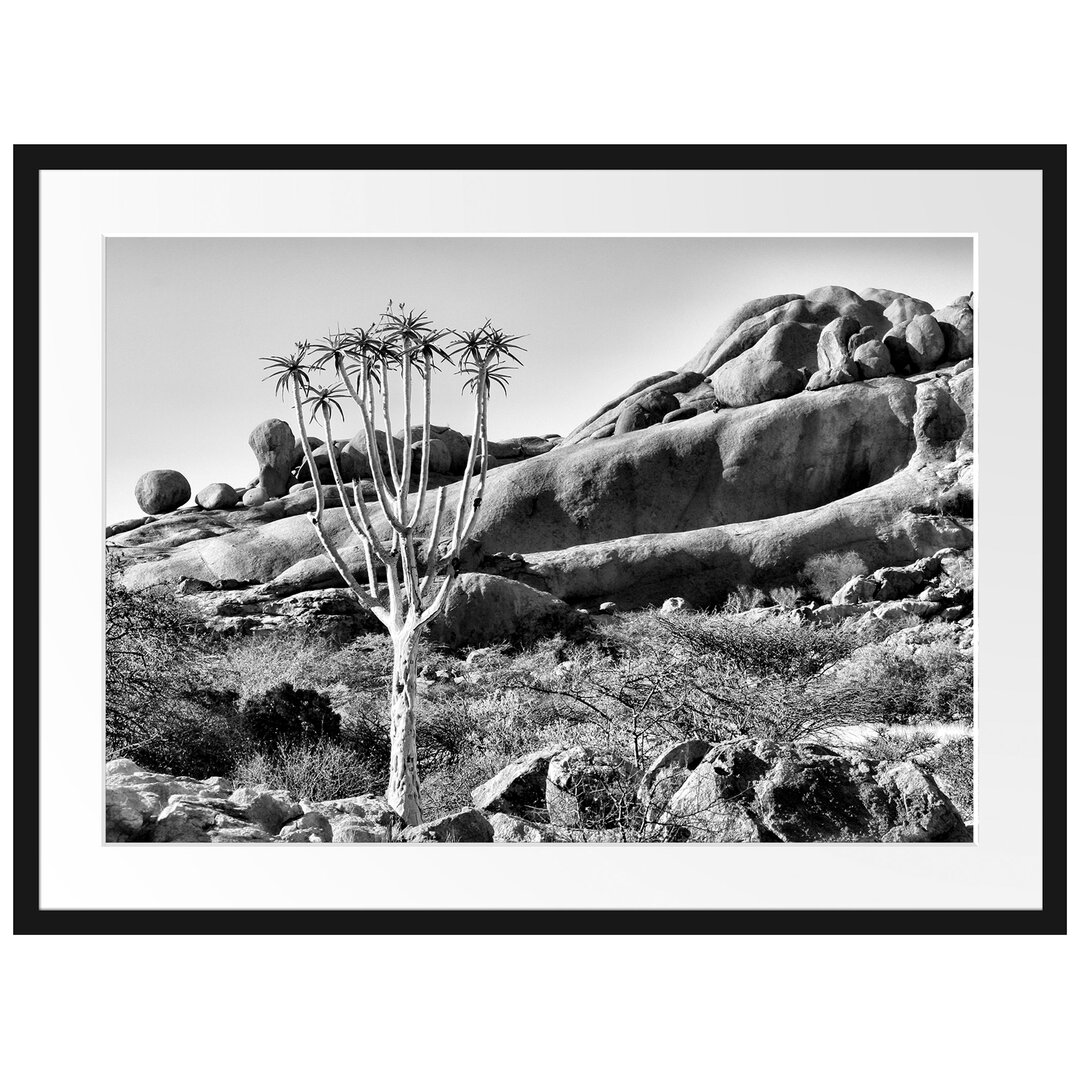 Gerahmtes Poster Baum im Steingebirge