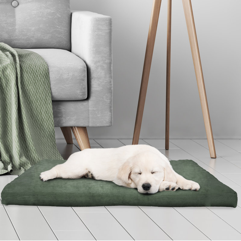 Grand lit orthopédique pour chien PETMAker - 44 x 35 po, vert forêt, Grand (l 44 po x P 35 po x H 3 po), Forêt