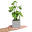 25cm Faux Foliage Plant in Cement Pot