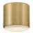 Hinkley Cedric Flush Mount Flat-108493481