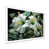 Cadre simple blanc