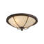 2 - Light Flush Mount