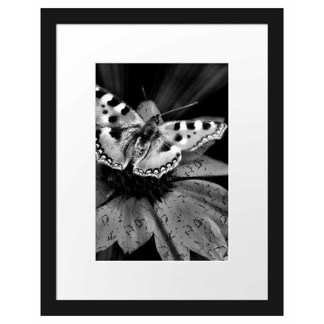 Gerahmtes Poster Schmetterling auf roter Blüte