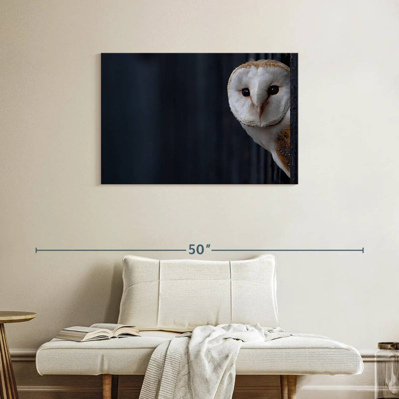 Brampt Owl Peering Out, 24" H x 36" W
