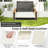 Patrisia 1 - Person Metal Hanging Porch Swing and Cushions