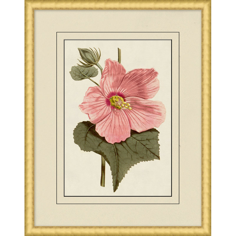 Fresh Flowers 9 Print
