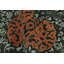 One-of-a-Kind 3'1"x5'2" Hand Knotted Area Rug
