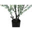 Plante artificielle