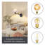 Iron Armed Sconce