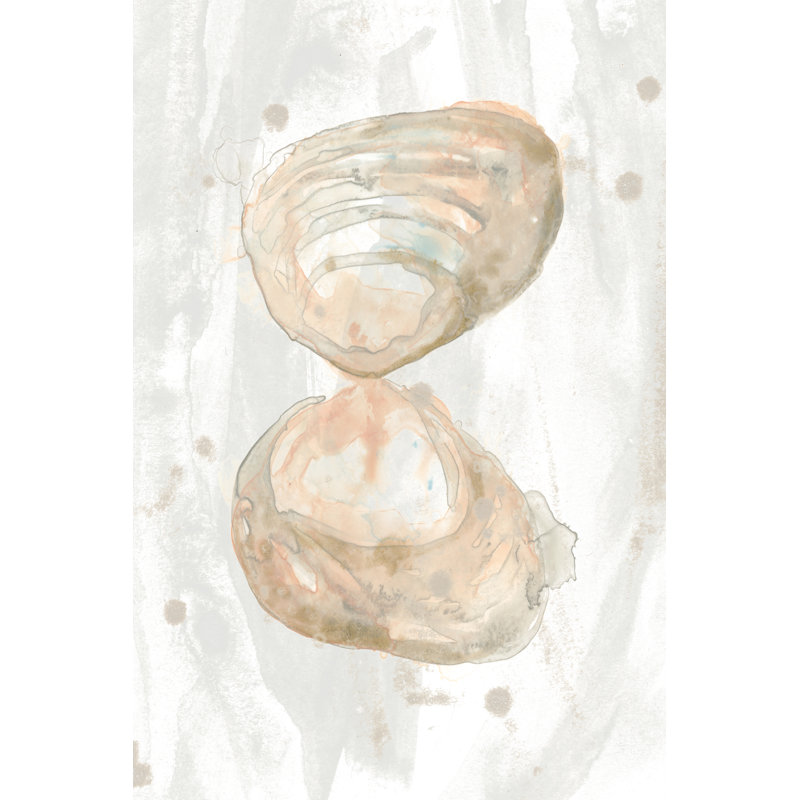 Muted Molusk IV by June Erica Vess - Wrapped Canvas Painting, 30cm H x 20cm W