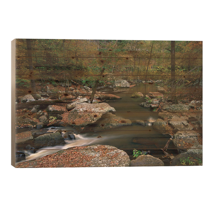 " Cedar Creek Flowing Through Deciduous Forest, Petit Jean State Park, Arkansas " by Tim Fitzharris, 26" H x 40" W x 1.5" D
