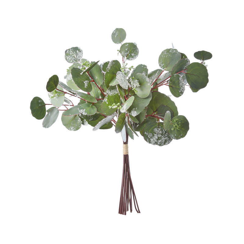 Paquet de tiges mixtes d'eucalyptus givré