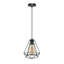 Rane 1 - Light Black Geometric Pendant
