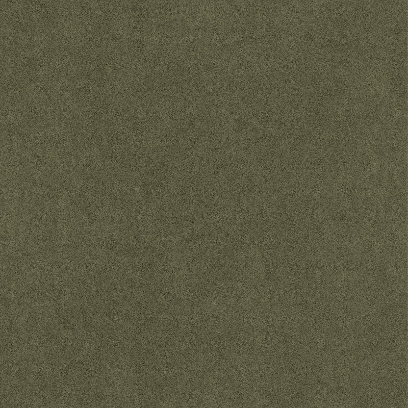 Papier peint adhésif L 18 pi x l 20,5 po RuSuede, Vert olive