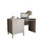 Standing Desk-2091619035