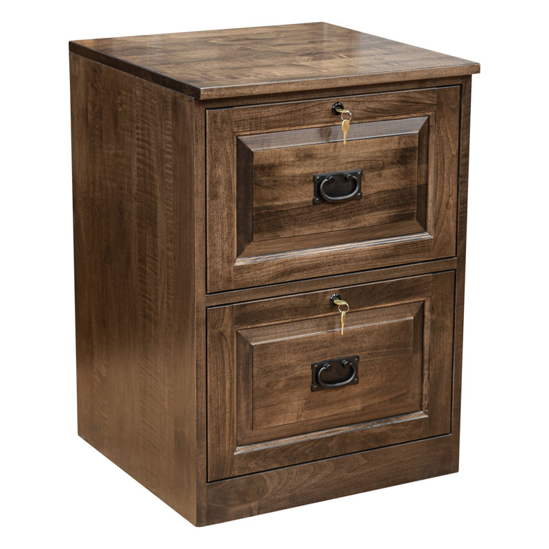 Doonans 21 " Wide 2 Solid Wood Vertical Filing Cabinet, Brown