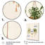 «Hanging Decorative Botanical Boho Plants I», reproduction sur toile-1889968137-1889968128
