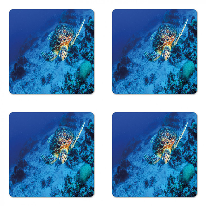 Sous-verre tortue