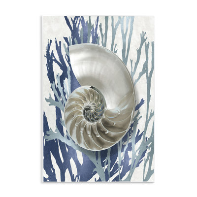 'Shell Coral Beach Blue' by Caroline Kelly - Painting Print