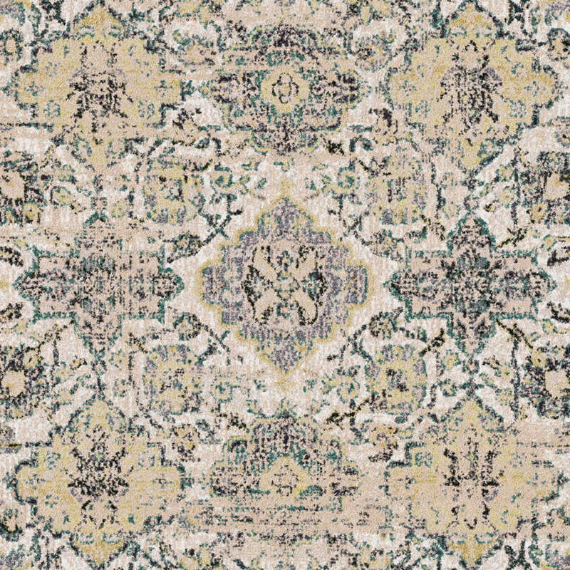 Residency Vintage Focus Traditional Persian Area Rug, Rectangle 2'8" x 3'10"