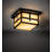 Glass Flush Mount
