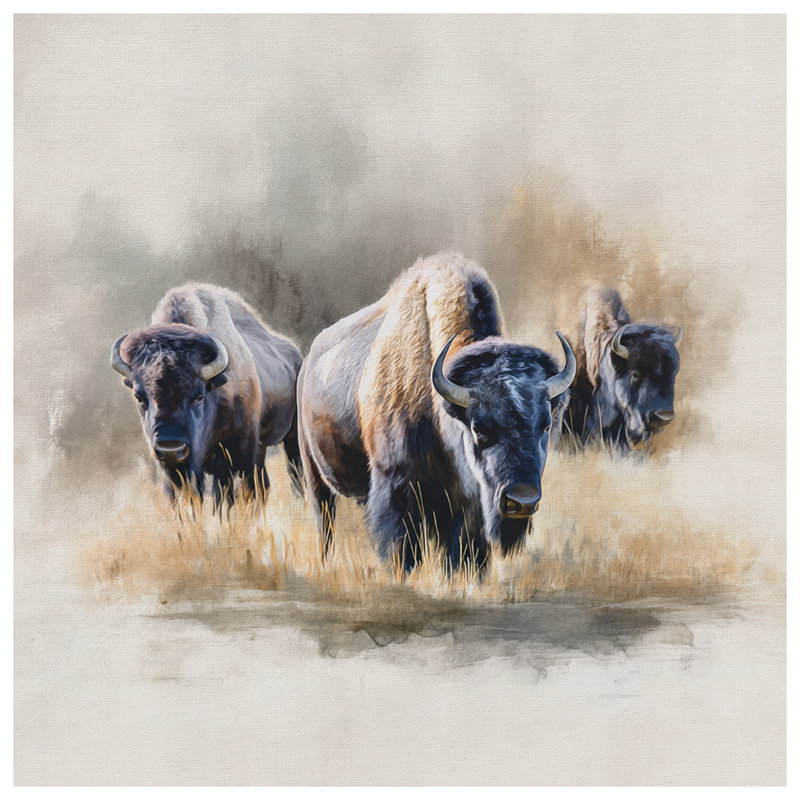 Couvertures de bisons dans les prairies, L 60 po x H 80 po