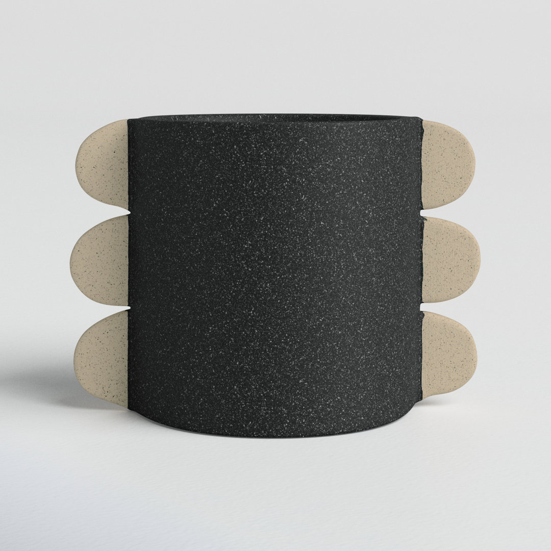 Aralia Ceramic Cachepot Joss & Main 