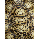 Carapaced Motif V Print by Austin Beiv