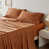 Terracotta is out of stock selected