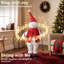 Santa Claus Christmas Decoration