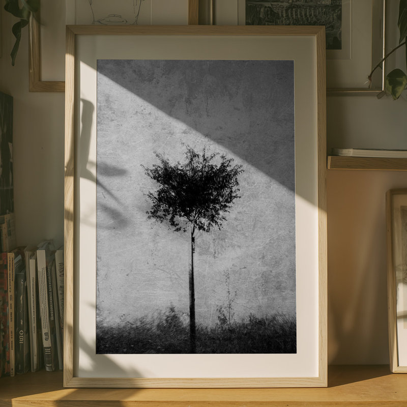 Wrapped Canvas Print, 76.2 cm H x 50.8 cm W