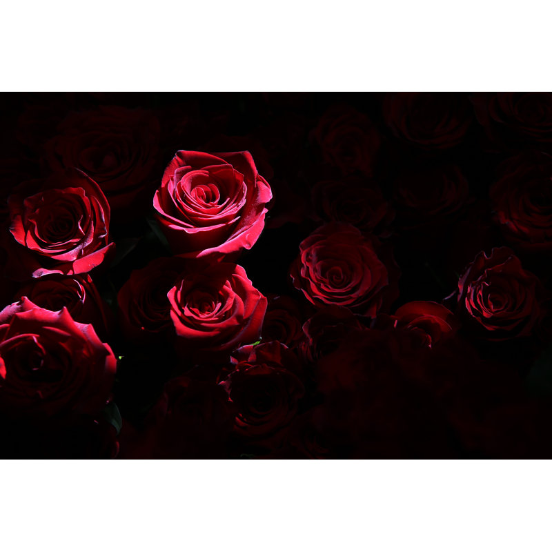 Red Valentine Day by E4C - Wrapped Canvas Print, 20cm H x 30cm W x 3.8cm D