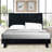 Dendrick Upholstered Tufted Velvet Bed-71942766-71942767