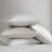 Vera Wang Erased Texture Cotton Beige Sheet Set-115991096