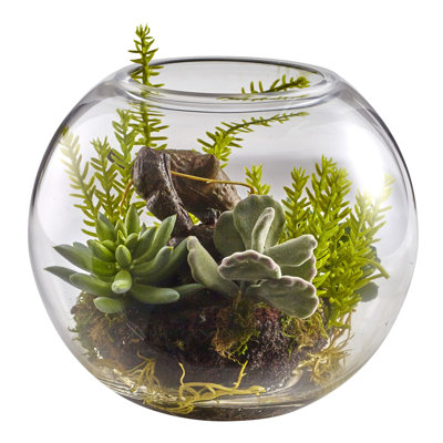 Mixed Succulent Garden with Glass Vase