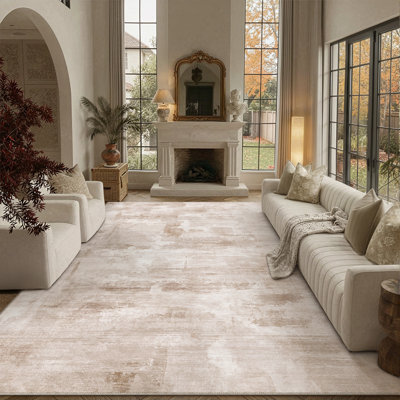 Oriental Light Grey Area Rug