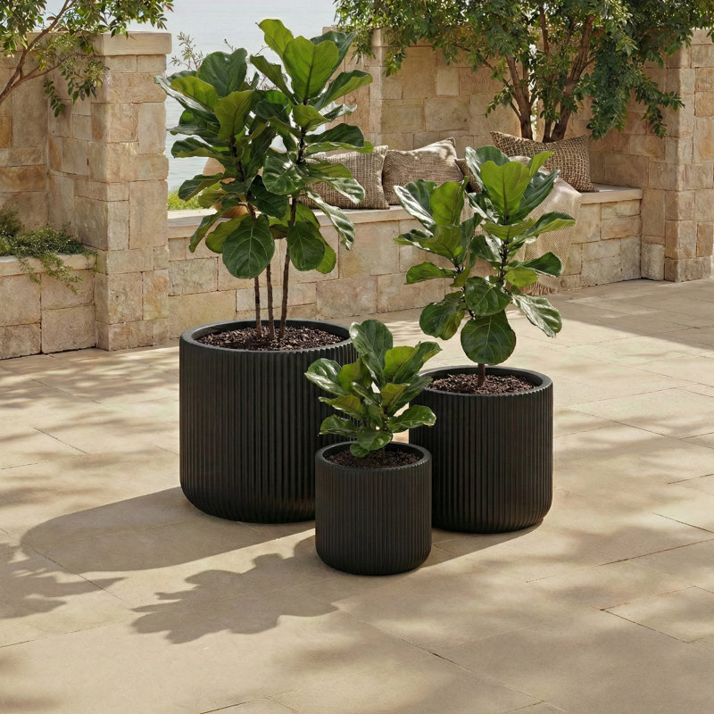 Carolina Planter Pot Set Of 3, Black