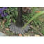 Bain d'oiseaux classique Tombolo-1756051484