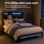 Upholstered Bed-1003577015