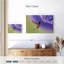Nectar Brampt sirotant un colibri-107719410