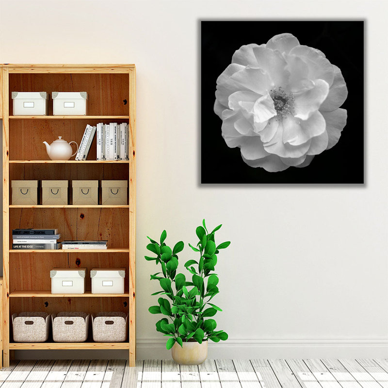 Rose - reproduction d'art sur toile, H 12 po x l 12 po