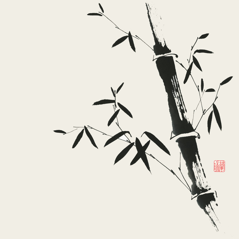 Bamboo Collection II by Nan Rae - Wrapped Canvas Print, 30cm H x 30cm W