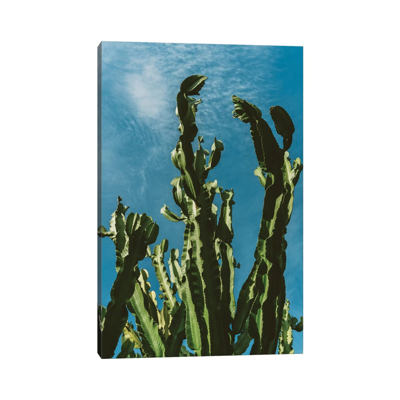 Cactus Sky II by Bethany Young - Print on Canvas, Wrapped Canvas, 30.48cm H x 20.32cm W x 1.91cm D
