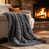 Gris anthracite